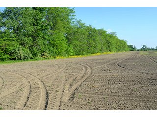 Property photo 39 - LAND AUCTION - 215+/- ACRES OFFERED IN 6 TRACTS IN VAN WERT COUNTY, OHIO